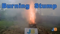 Burning Stump