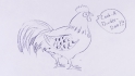 Rooster Drawing